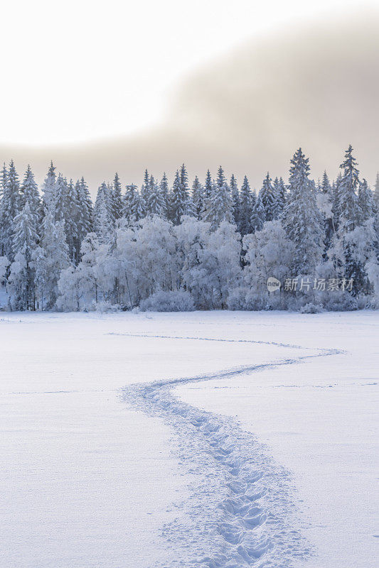 冬天的风景，在新雪的痕迹