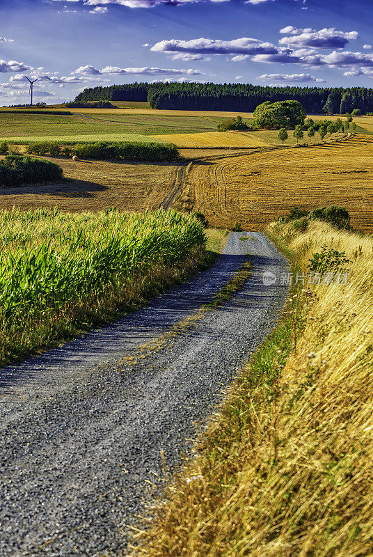 乡村景观中的乡村道路(HDRi)