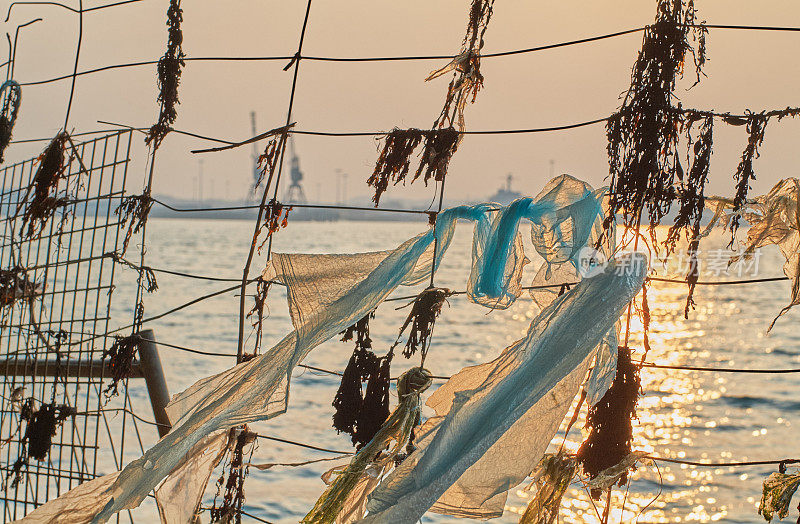 海藻和塑料布被困在港口的铁丝网里