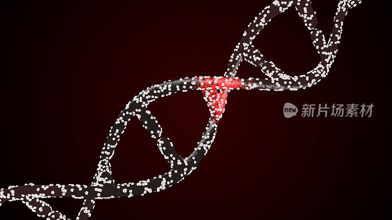 DNA双螺旋变化:突变的DNA进化成在白色背景上分离的正常DNA