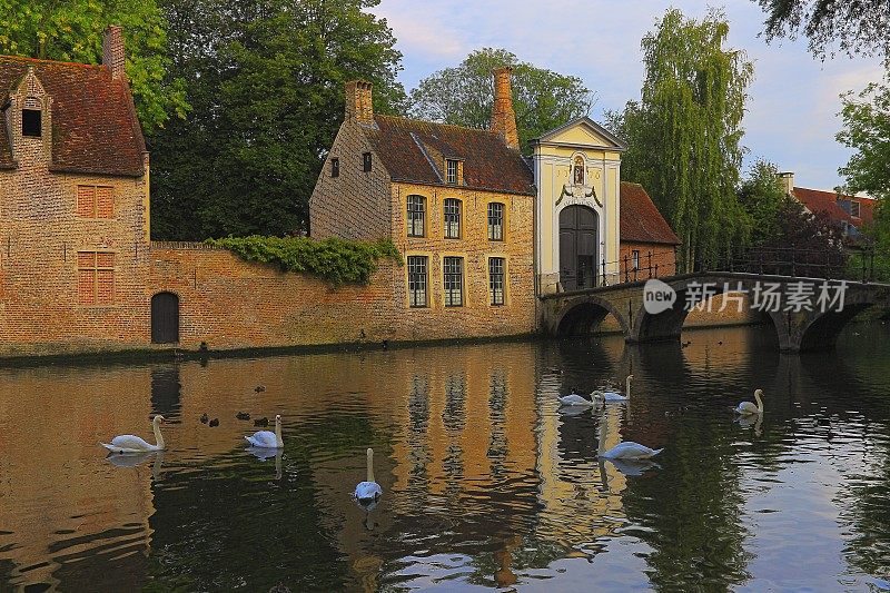 比利时布鲁日，日出时天鹅漂浮在水道和修道院上
