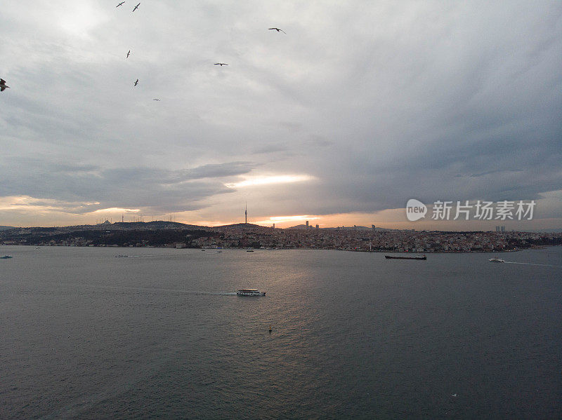 伊斯坦布尔的博斯普鲁斯海鸥和日出