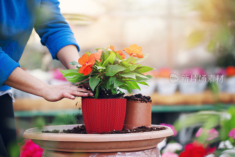 园丁和花匠在花盆里种花