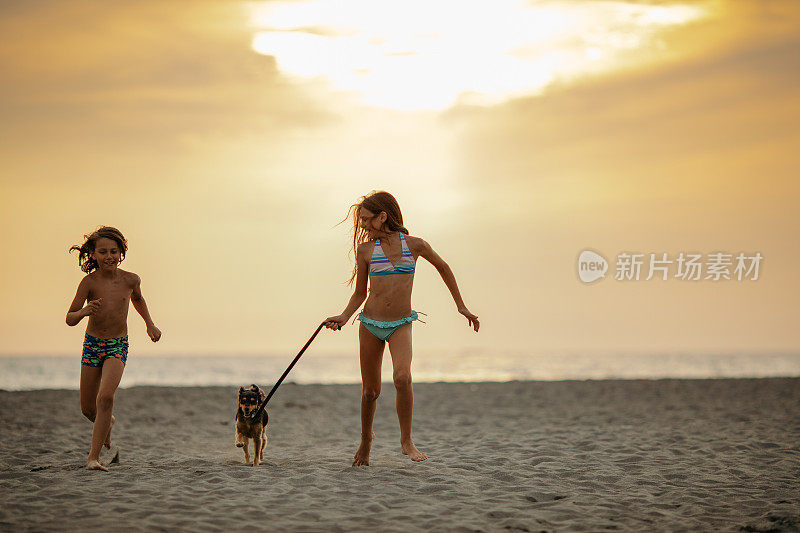 男孩和女孩和他们的狗在海滩上跑步