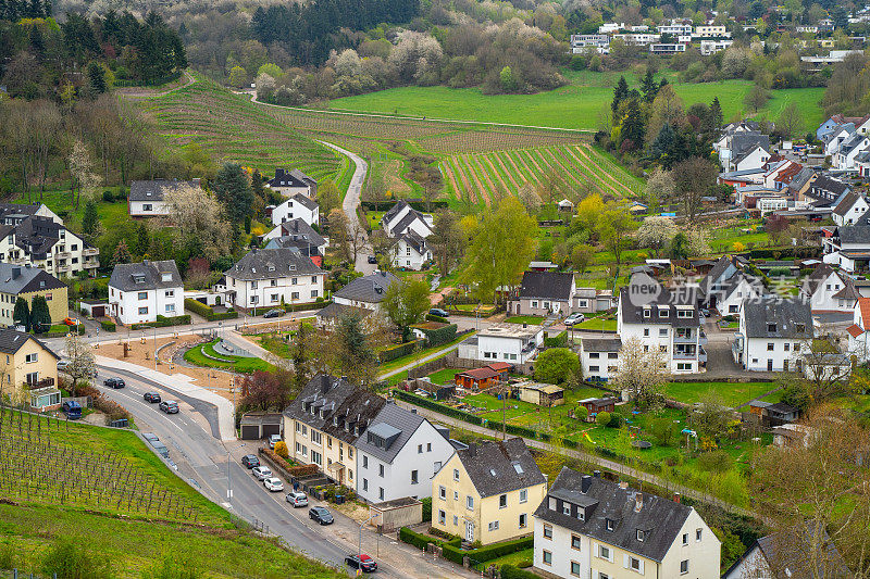 从这里可以看到特里尔市和摩泽尔河谷的雷司令酒厂。德国wineyard景观。