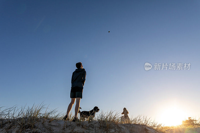 一个少年在日落时与他的狗玩耍