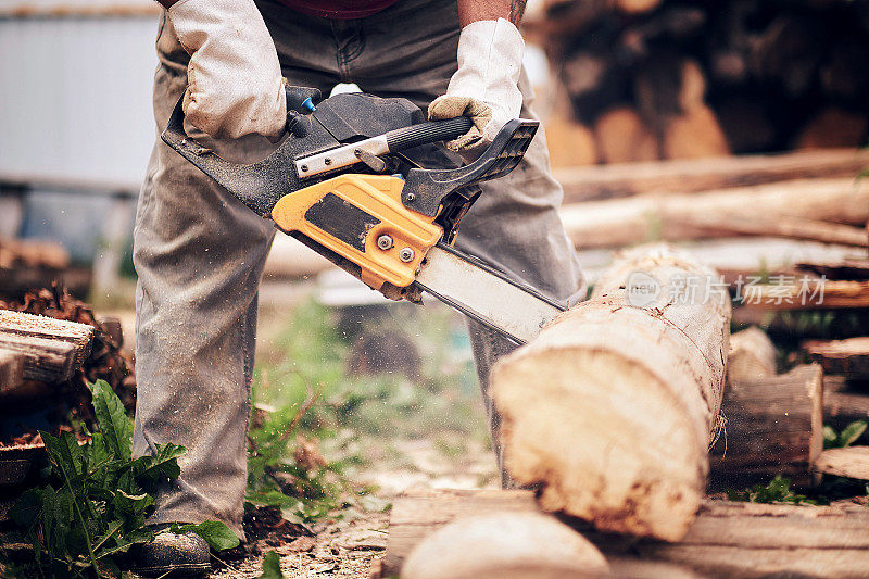 用锯子锯人。灰尘和运动。伐木工在锯木厂用链锯锯树。伐木工人