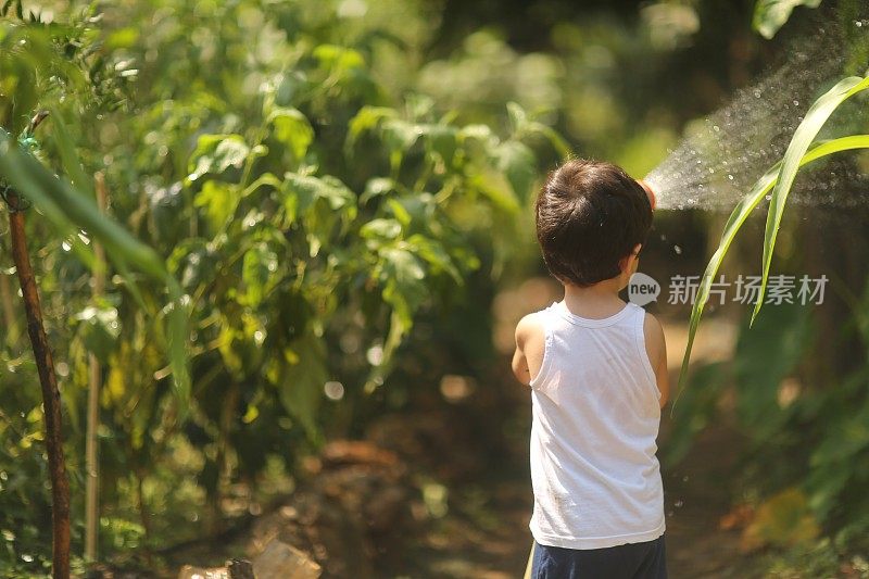 幼童在夏天在户外玩水管