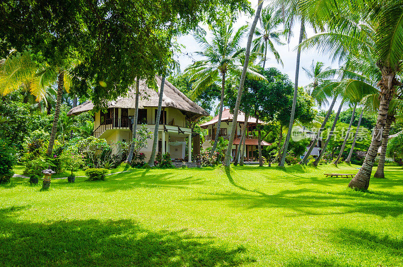 棕榈树下的热带天堂平房-巴厘岛