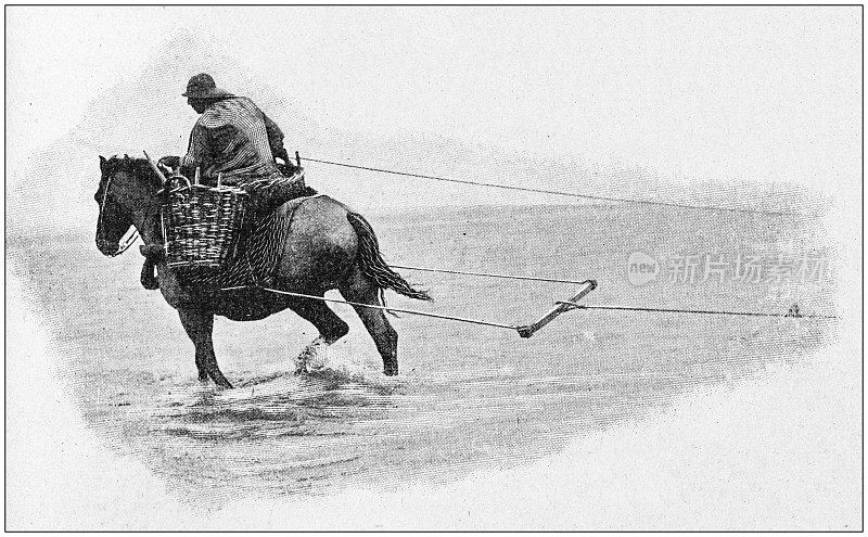 古董照片:骑马的渔民