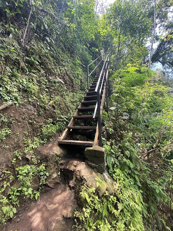 印度尼西亚爪哇岛热带雨林中的徒步旅行路线