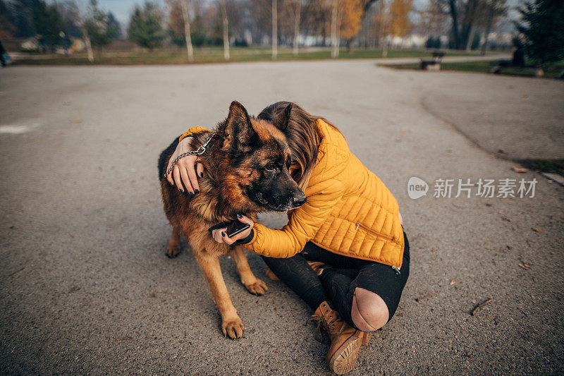 公园里有个年轻女人和一只德国牧羊犬