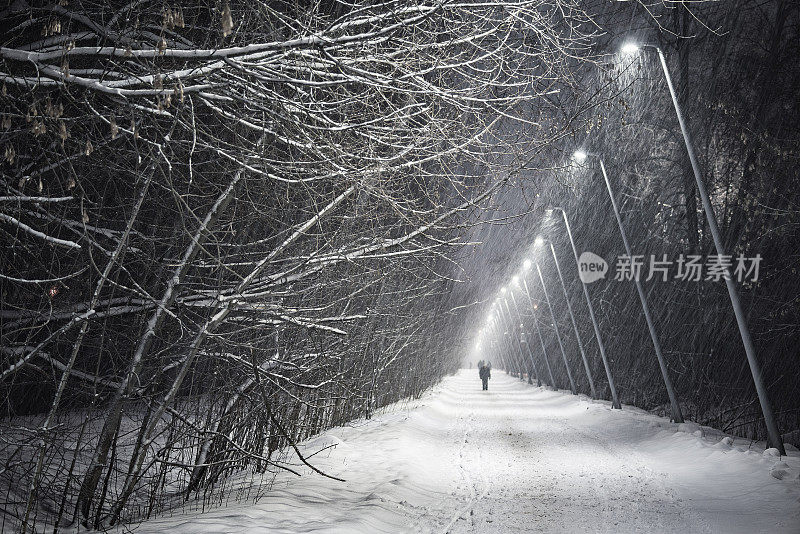 城市公园街景在暴风雪的晚上时间。