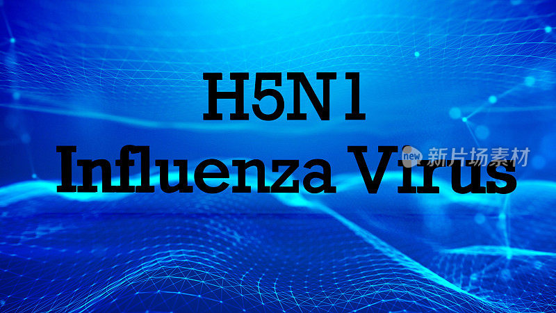 H5N1标题动画