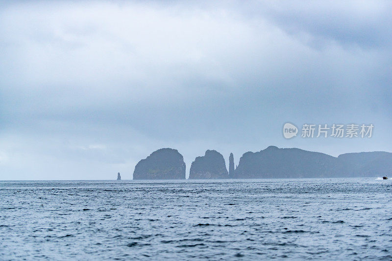 塔斯曼岛，鹰颈海岸悬崖在塔斯曼国家公园保护区，阿瑟港，塔斯马尼亚