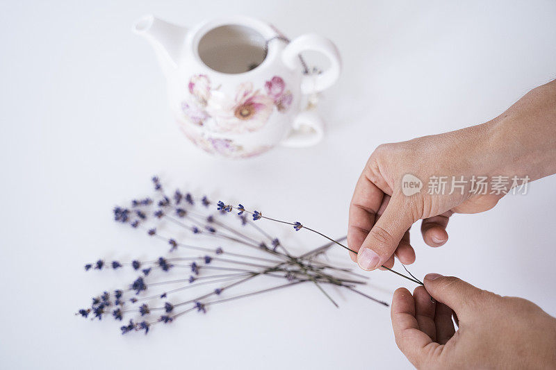 薰衣草茶与薰衣草花装饰，孤立在白色背景。禅意的背景。