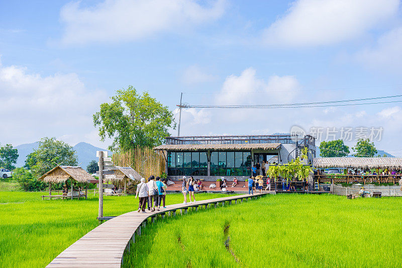 米纳café咖啡店的绿色田野和游客