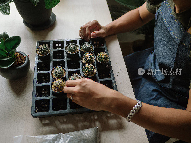 时髦的亚洲男人在家给室内植物浇水