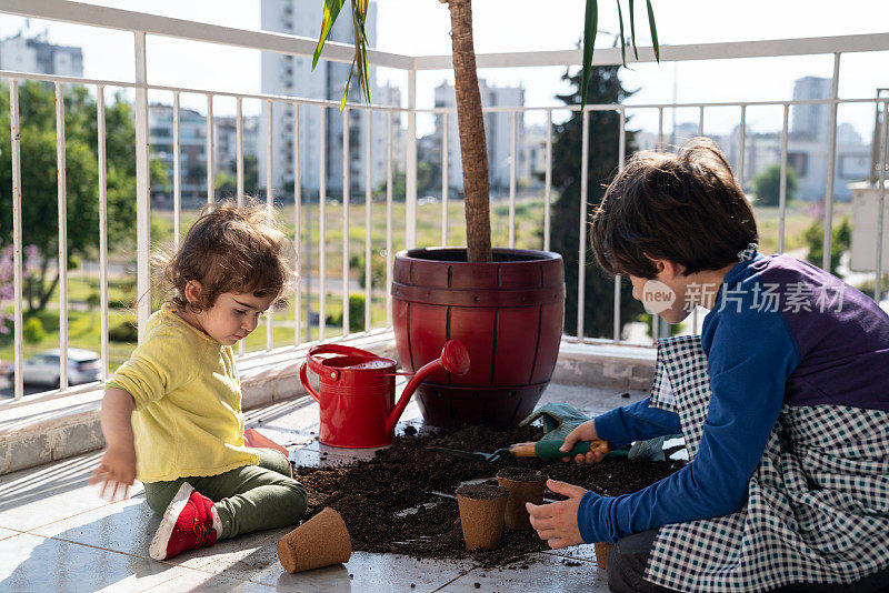 2019冠状病毒病大流行期间，儿童在阳台上种植室内植物