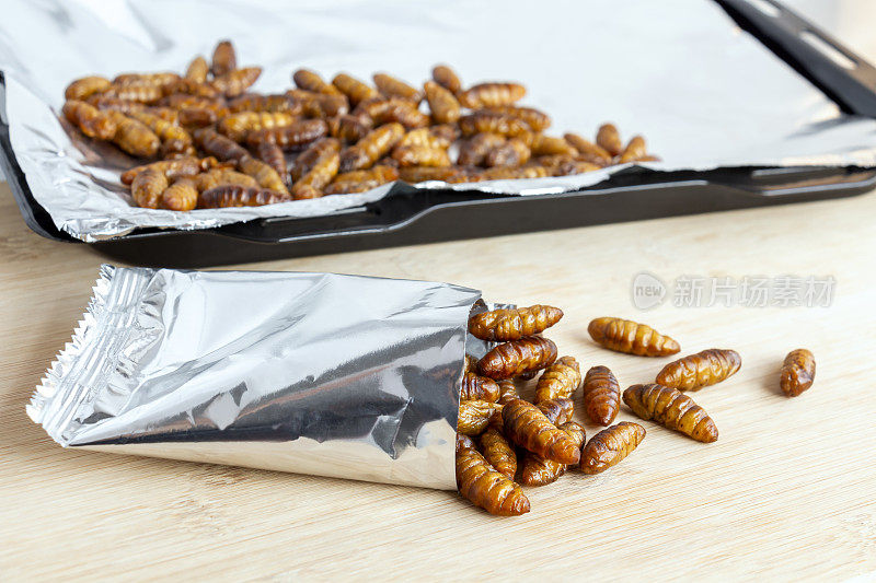 用作即食食物的蚕蛹昆虫。蚕蛹是焙烤盘和铝箔包装的零食，是今后食用的良好蛋白质来源。昆虫学的知识概念。