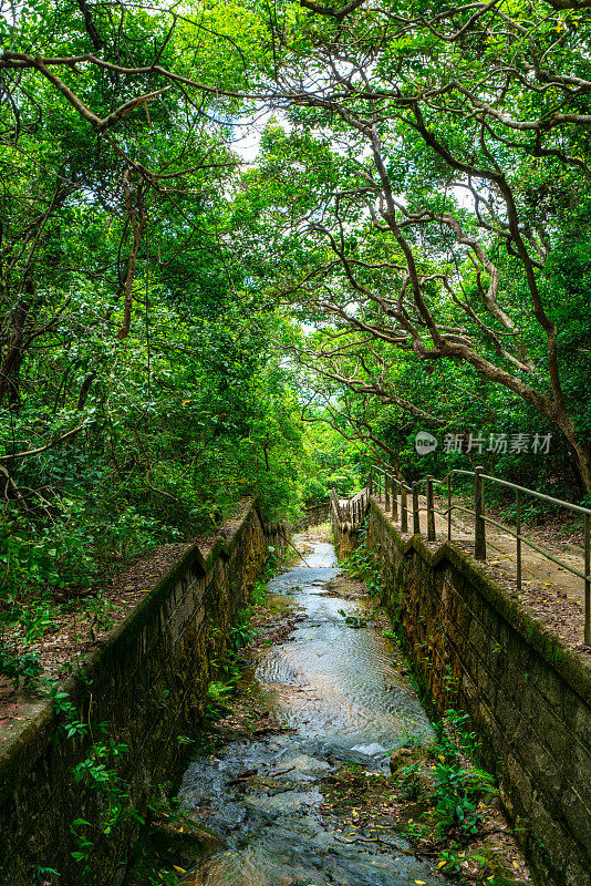 位于香港的九龙水塘