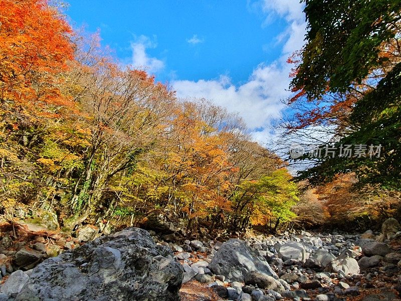 韩国济州岛的秋季景观