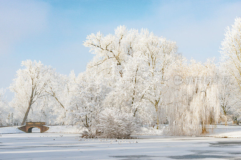 荷兰坎彭市公园的雪景