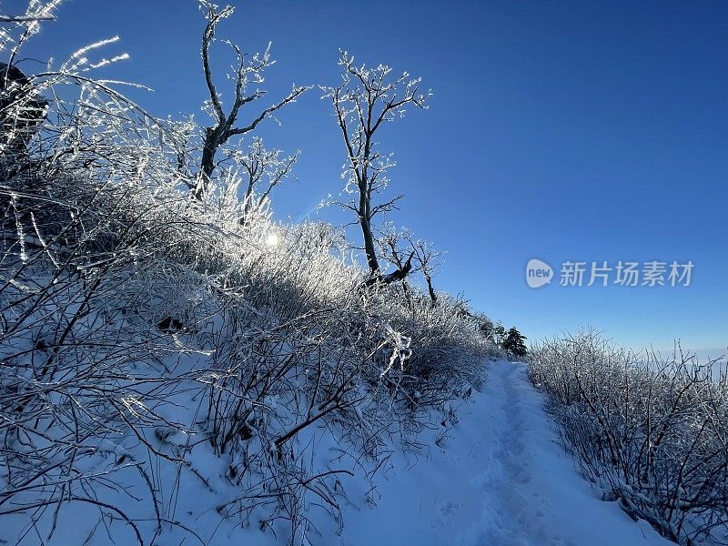 阿巴拉契亚山径-谢南多厄国家公园-徒步小径-冬季暴风雪