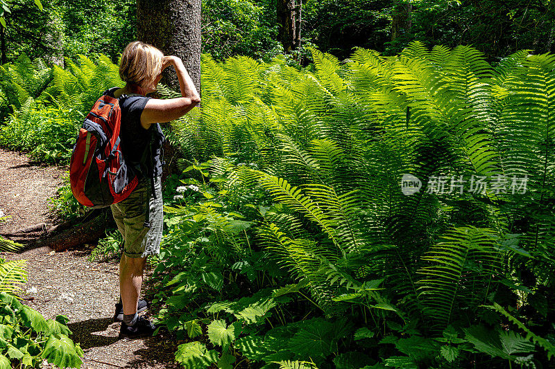 斯洛文尼亚朱利安阿尔卑斯山脉波克列卡峡谷的一位女性徒步旅行者