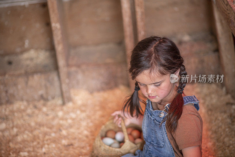 年轻的女孩从鸡笼里捡新鲜的鸡蛋