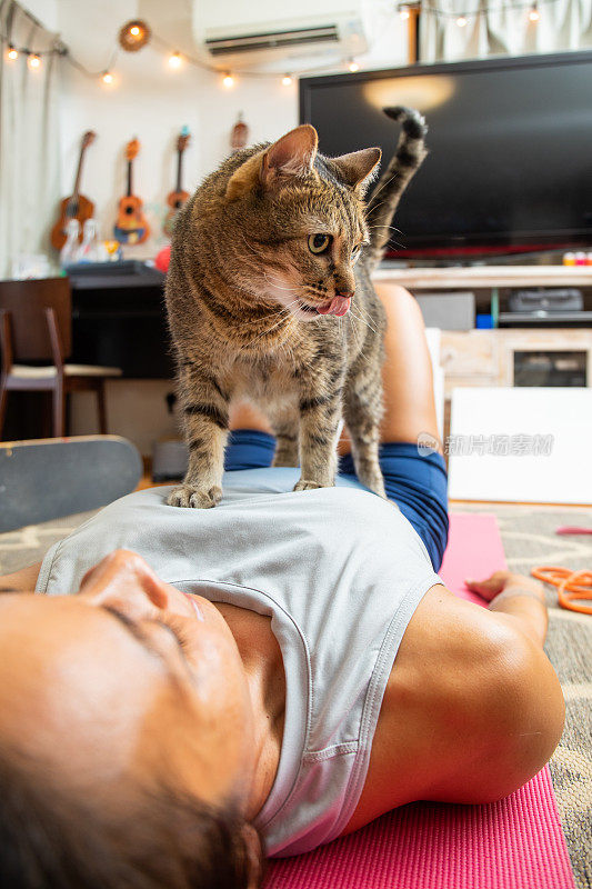 女人和她的猫做核心运动