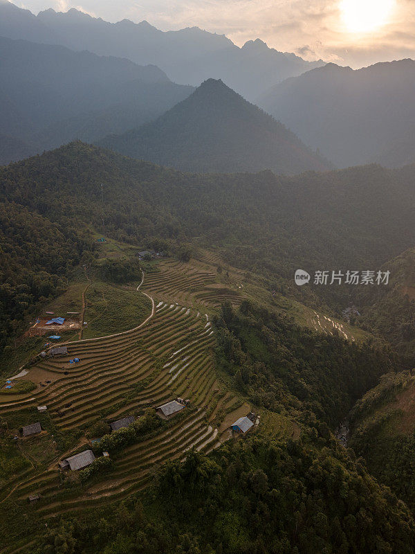 猫猫村上的梯田