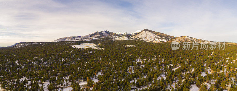 亚利桑那州弗拉格斯塔夫附近山脉之间的山谷中松树林的全景