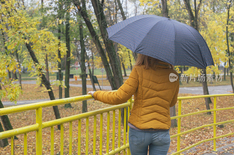 雨中的城市