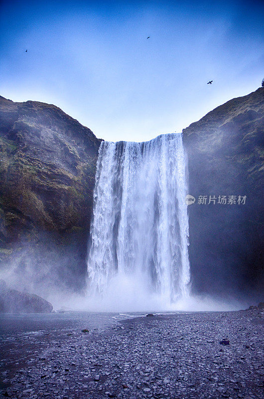 冰岛壮观的斯科加福斯瀑布的黎明