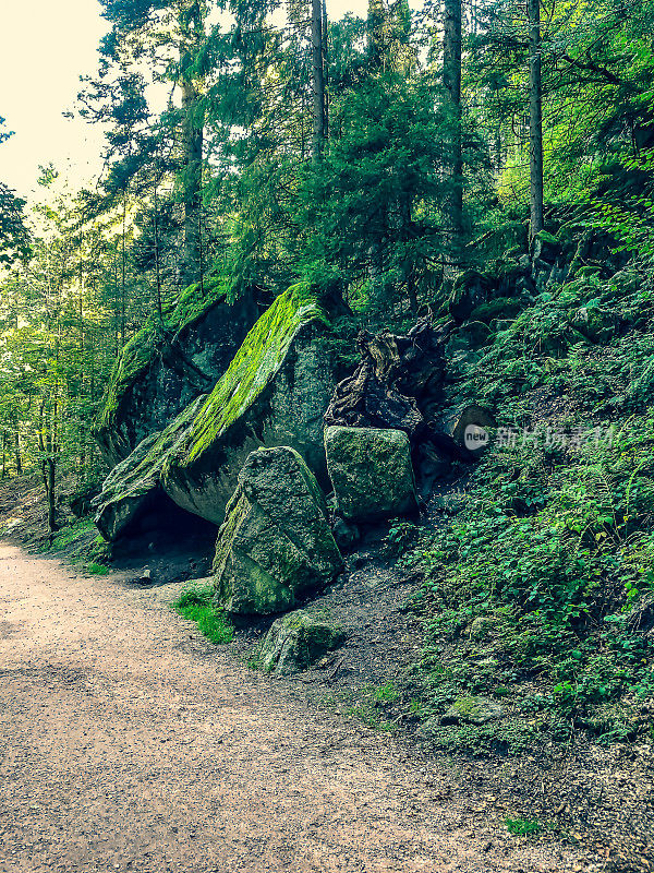一条穿过黑森林的小路，上面有一块大石头。