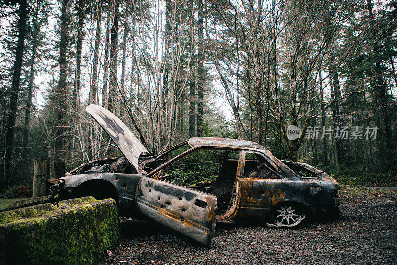 森林里被烧毁的汽车