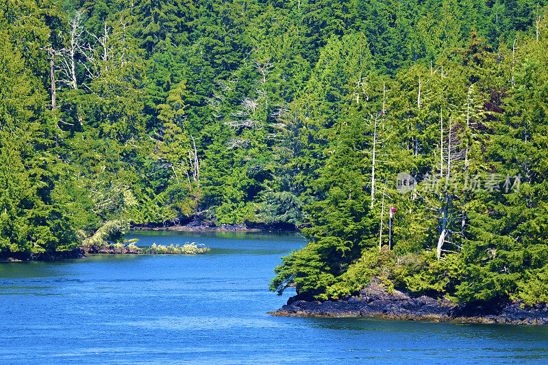 Tofino、加拿大