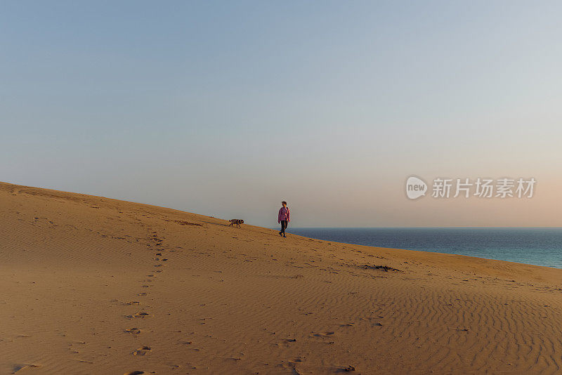 在土耳其，一个带着狗的女人在海边的沙丘上凝视着风景优美的日落