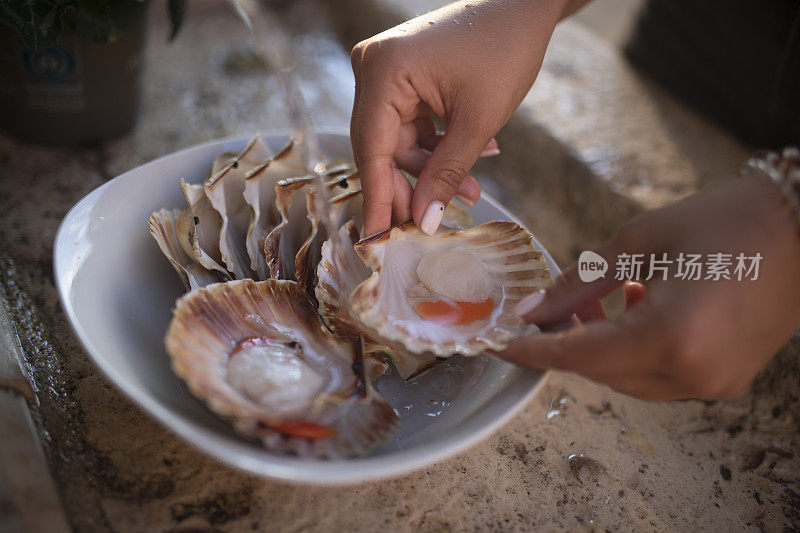 很多新鲜的生扇贝