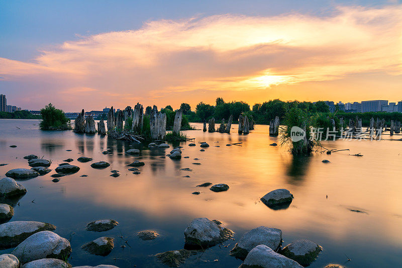 夕阳下的中国咸阳古桥墩木桩遗址
