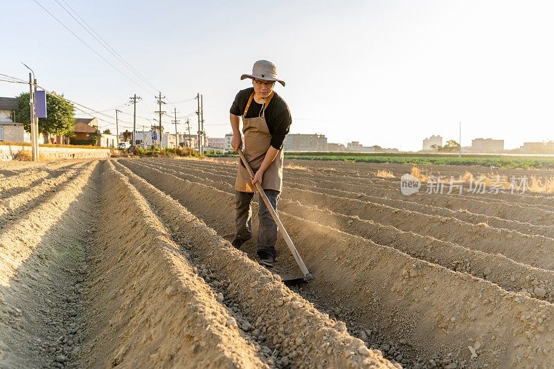 一位亚洲男性农民在田里用锄头干活