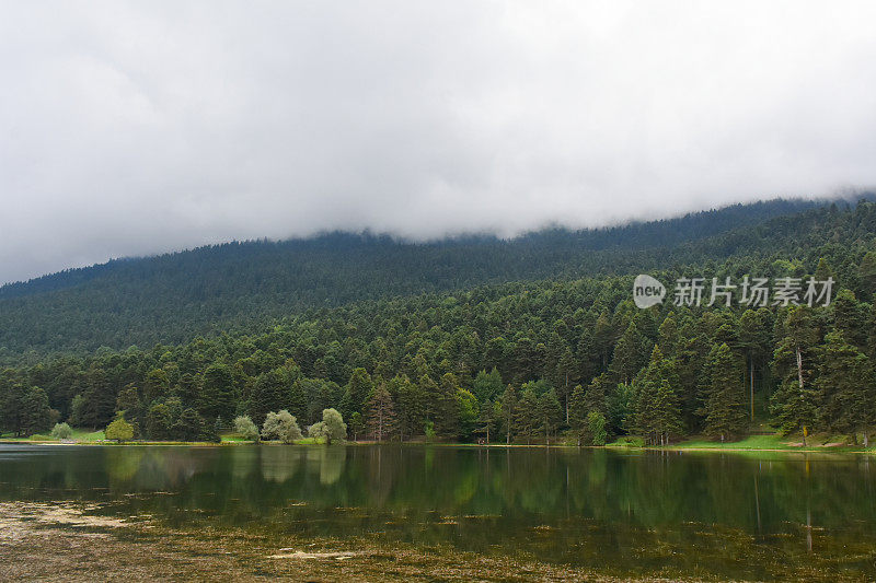 湖与雾蒙蒙的森林背景