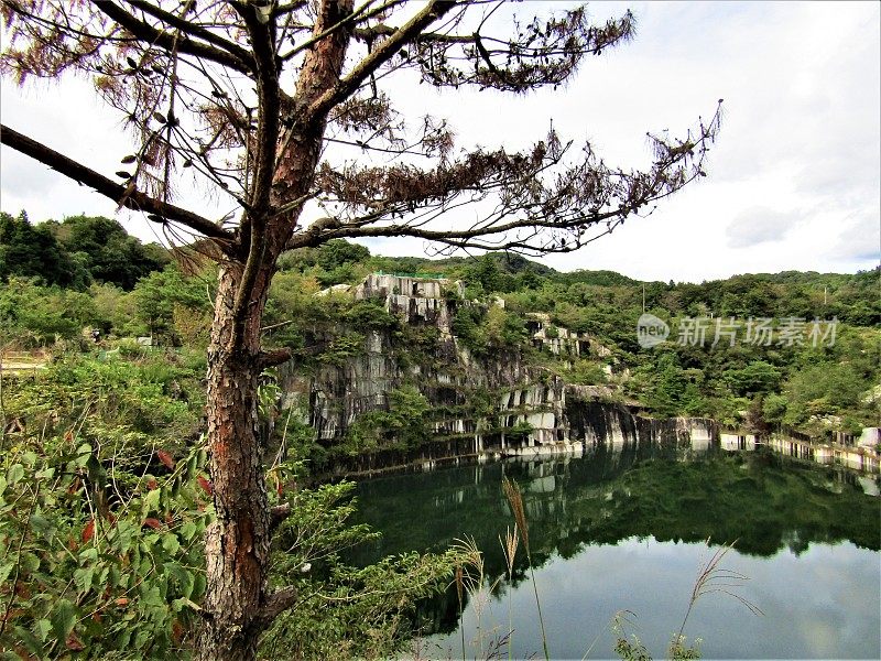 日本。十月。山湖边的松树。