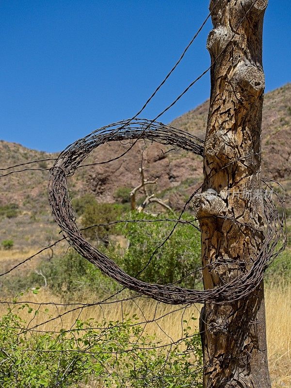新墨西哥州奥根山，铁丝网盘绕在栅栏柱上