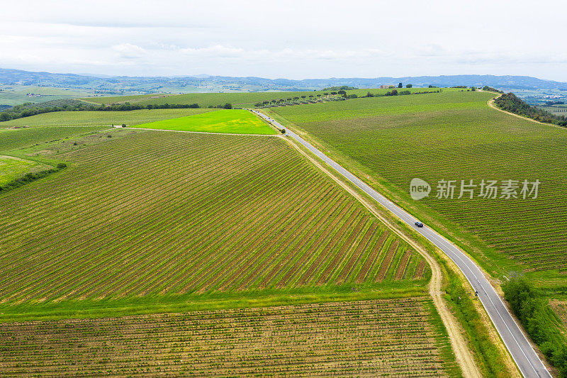 乡间小路穿过色彩斑斓的农田。