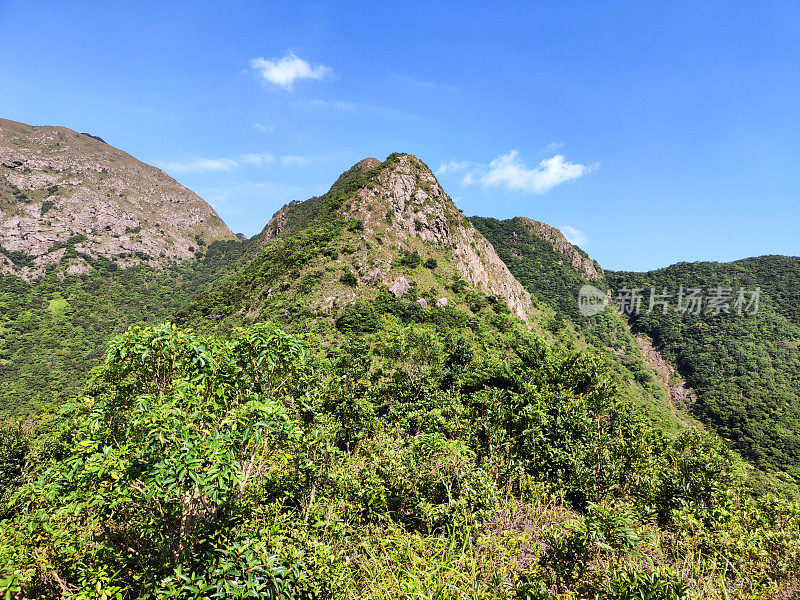 西狗牙，九龙岭，香港