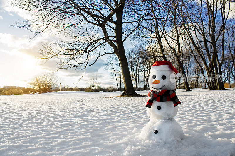 微笑的雪人。风景如画的冬季景观。节日的心情。