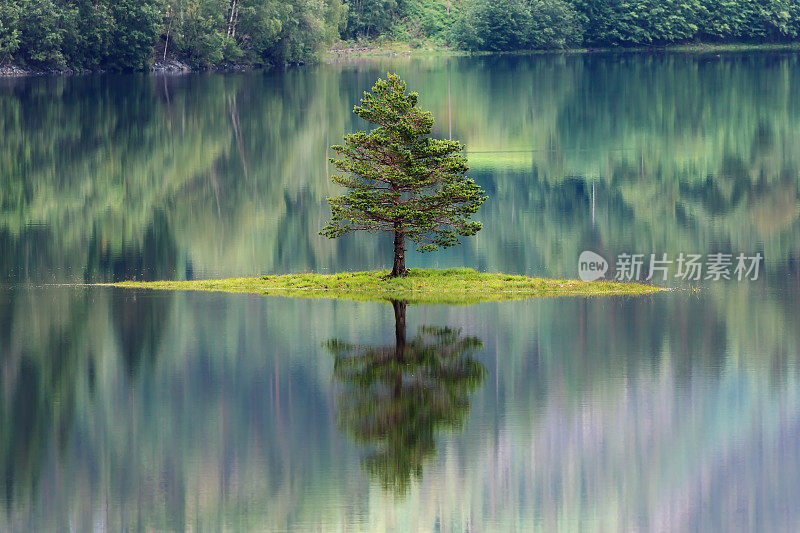 挪威湖中倒映的树