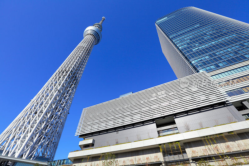 东京天空树